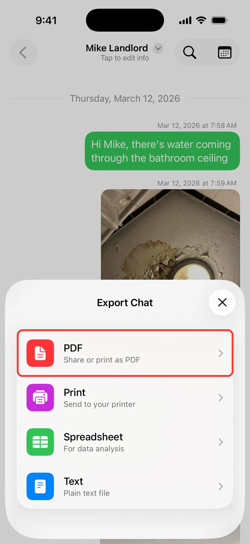 The Export Chat sheet over the Mike Landlord chat, with PDF highlighted