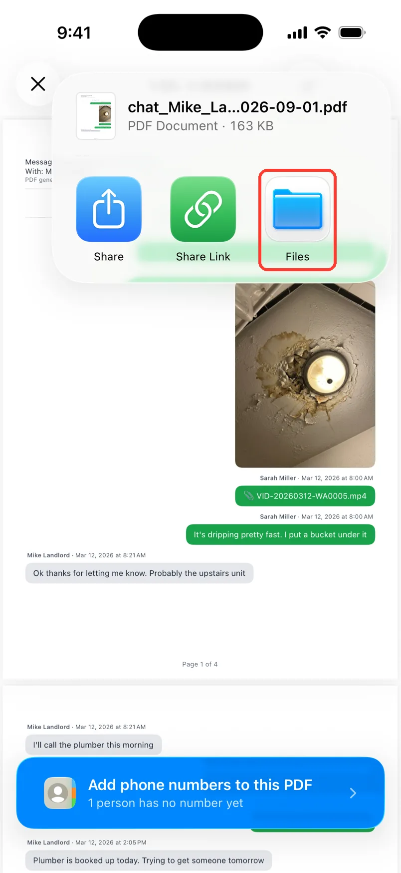 The share card with Share, Share Link, and Files. Files is highlighted
