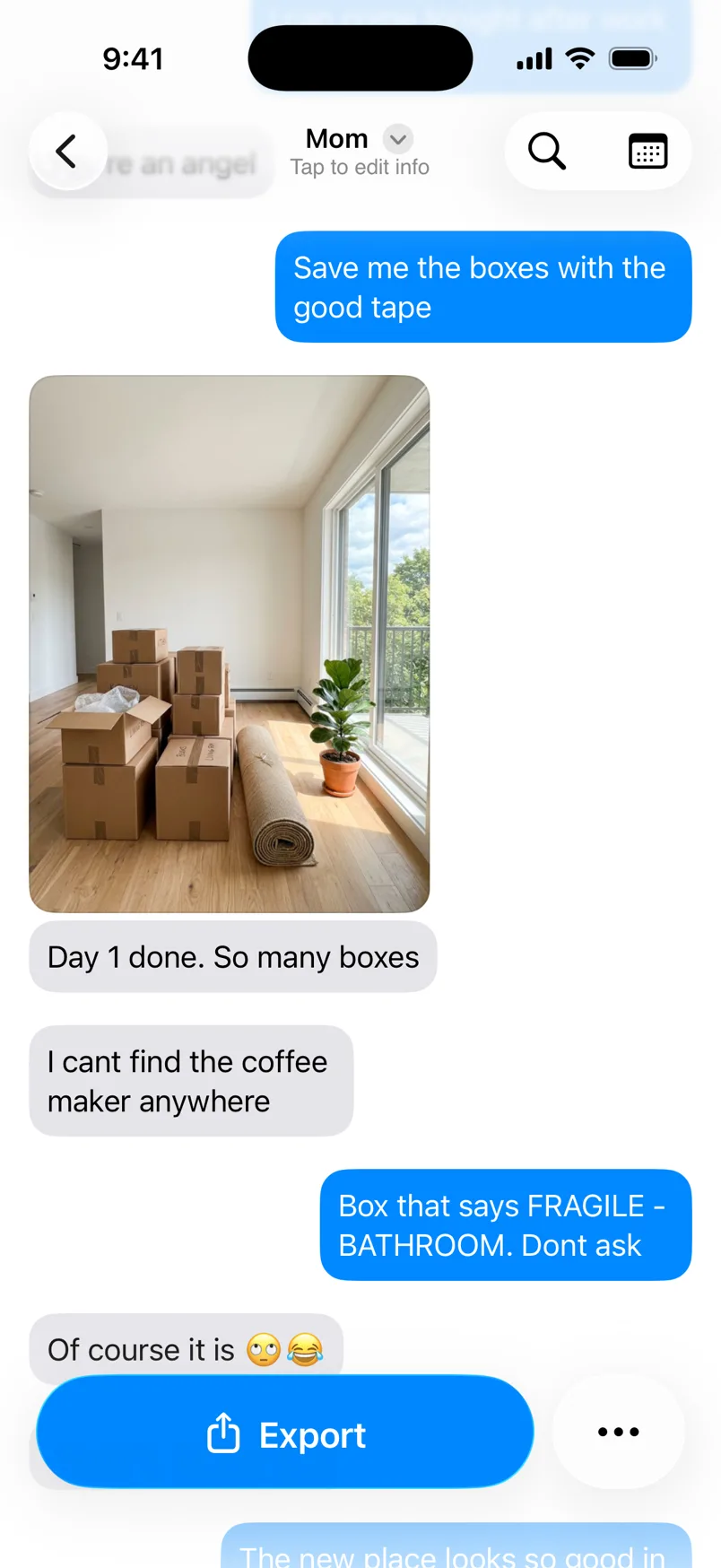 The chat with only message bubbles and no dates or times