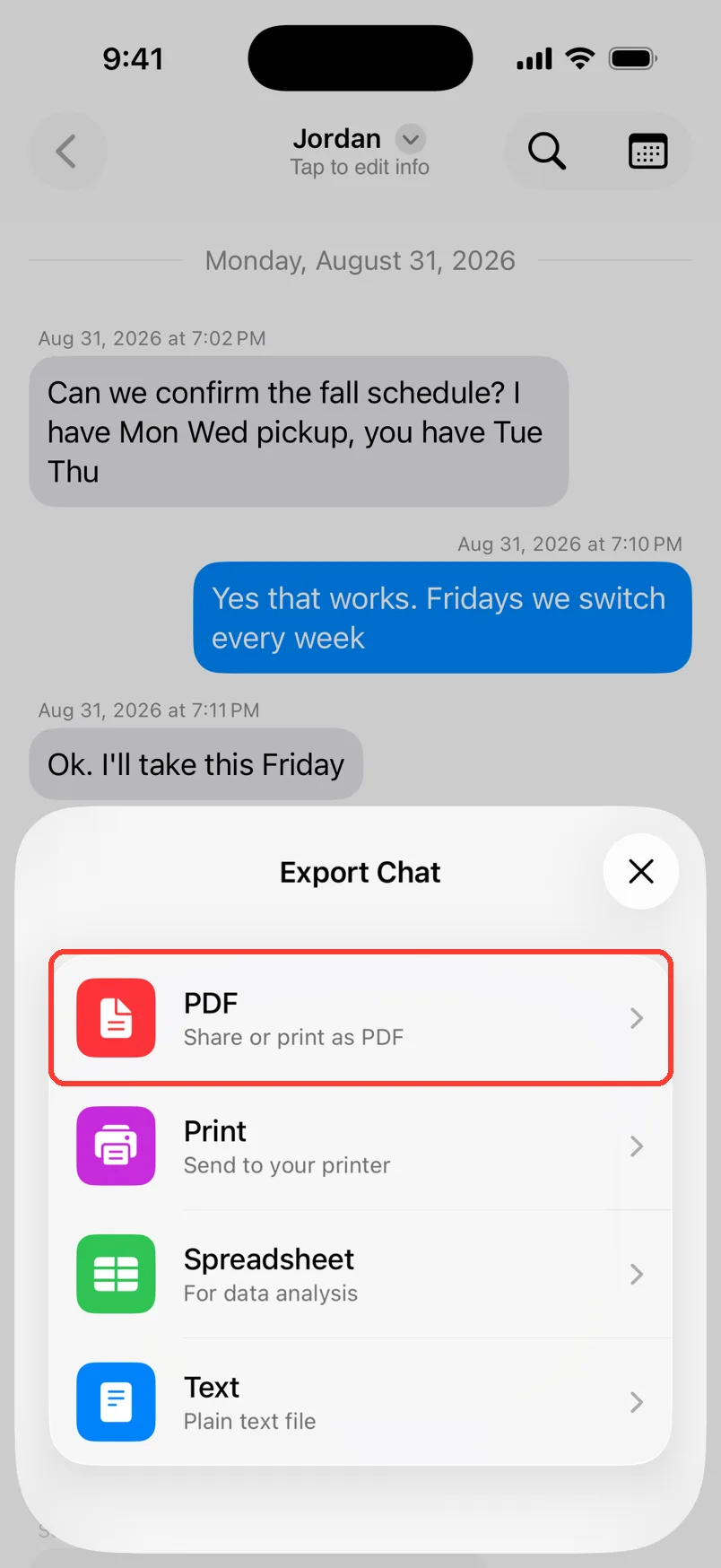 The Export Chat sheet over the chat with Jordan, with PDF highlighted