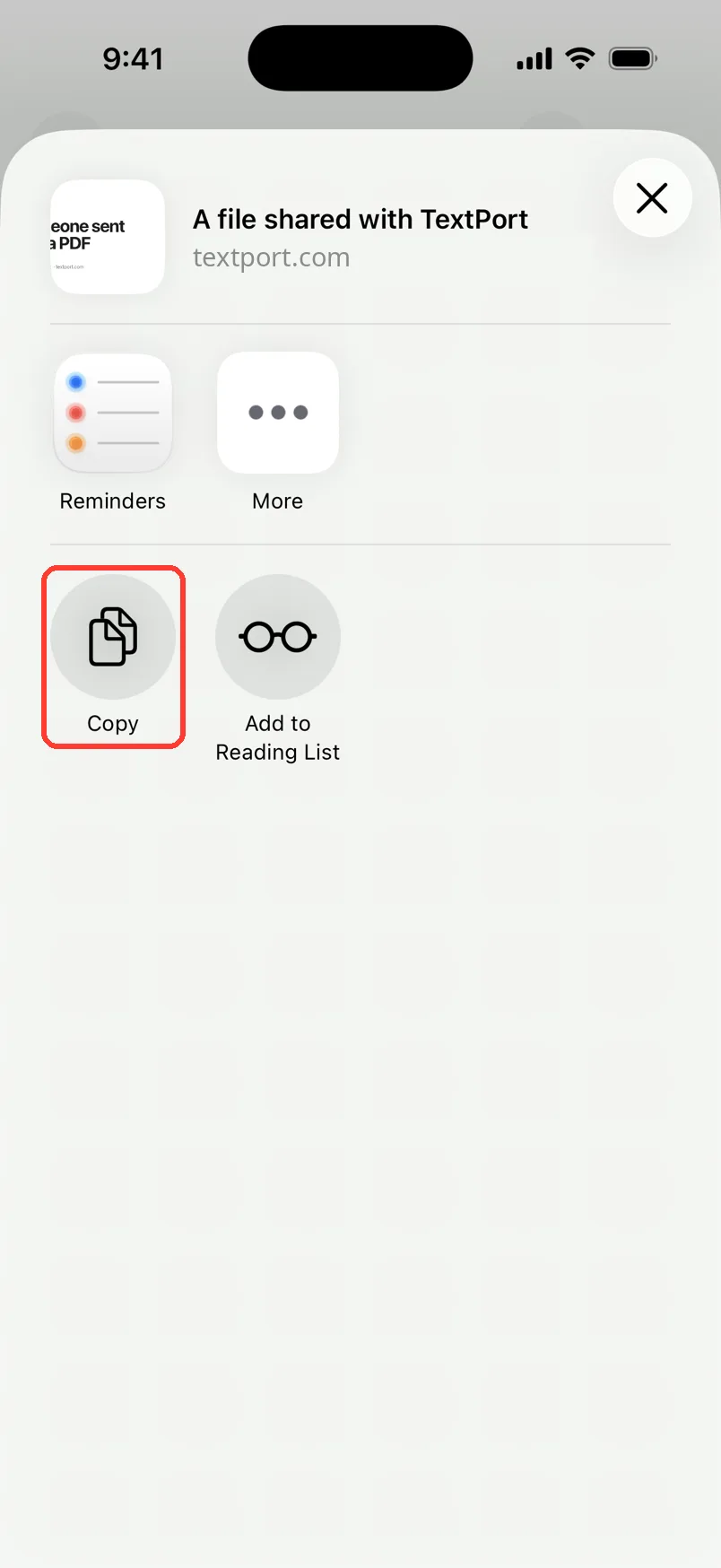 The iPhone share sheet for the textport.com link with Copy highlighted