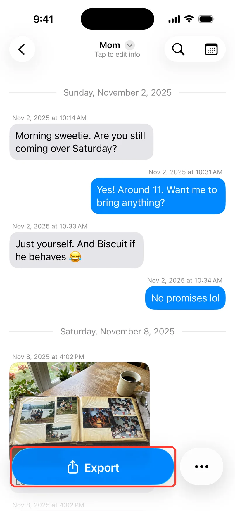 A chat with the blue Export button at the bottom