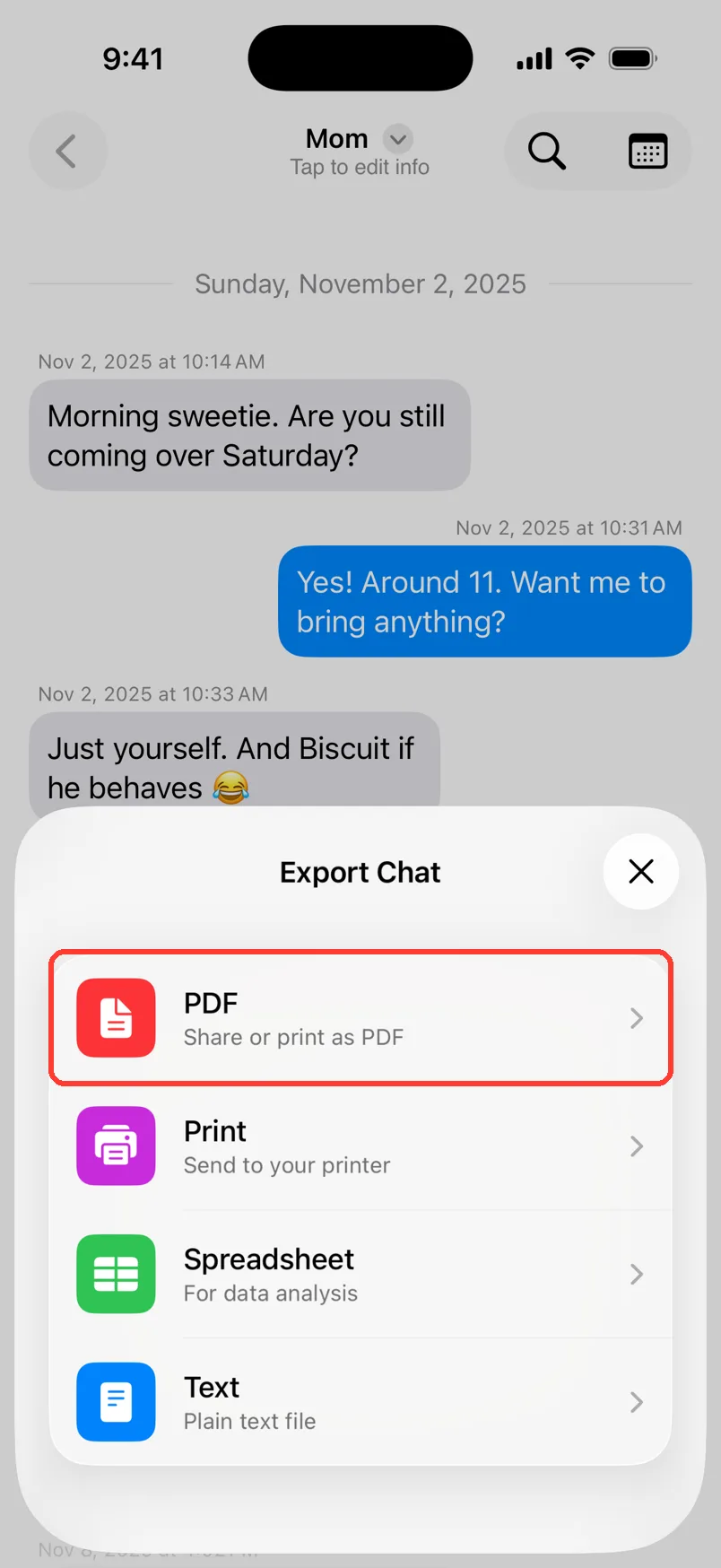 The Export Chat sheet with PDF, Print, Spreadsheet, and Text