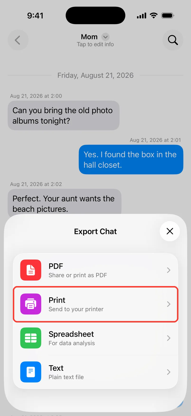 The Export Chat sheet with PDF, Print, Spreadsheet, and Text