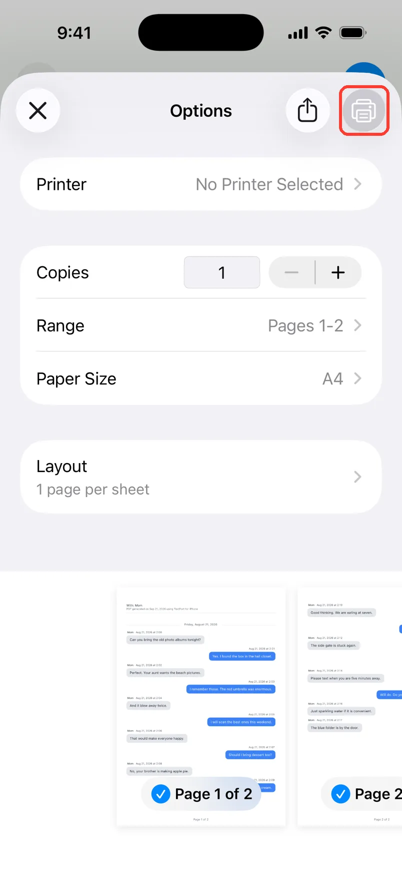 The print options with the Print button highlighted in the top right