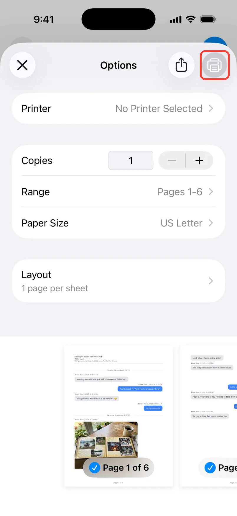 The print options with the Print button highlighted in the top right