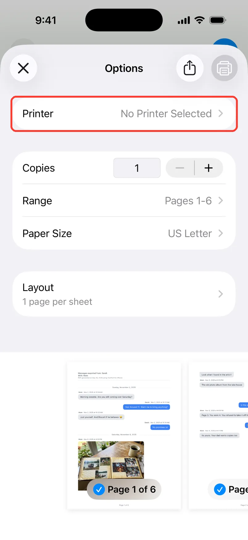 The print options with the Printer row highlighted