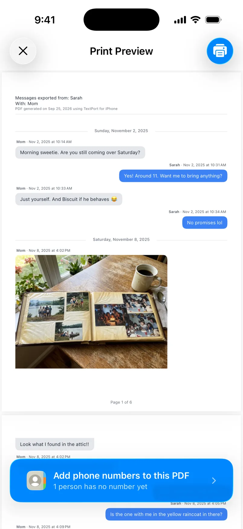 The Print Preview screen with the chat as pages